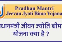 Pradhan Mantri Jeevan Jyoti Bima Yojana 2025 : प्रधानमंत्री जीवन ज्योति बीमा योजना क्या है ? Pradhan Mantri Jeevan Jyoti Bima Yojana