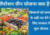 Operation Green Yojana Hindi