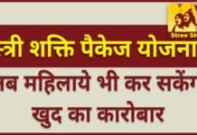 Stree Shakti Package Yojana 2025 : अब महिलाये भी कर सकेंगी खुद का कारोबार सरकार ने शुरू की स्त्री शक्ति पैकेज योजना Stree Shakti Package Yojana