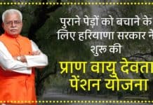Pran Vayu Devta Yojana 2025 : पुराने पेड़ों को बचाने के लिए हरियाणा सरकार ने शुरू की प्राण वायु देवता पेंशन योजना pran vayu devta yojana sanvadata
