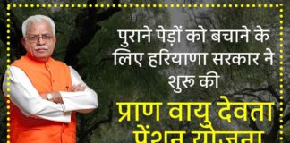 Pran Vayu Devta Yojana 2025 : पुराने पेड़ों को बचाने के लिए हरियाणा सरकार ने शुरू की प्राण वायु देवता पेंशन योजना pran vayu devta yojana sanvadata